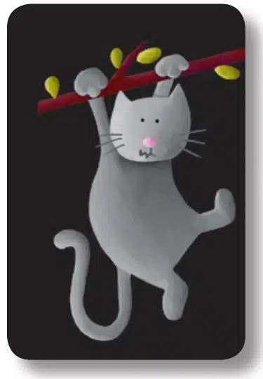 regle mistigri chat