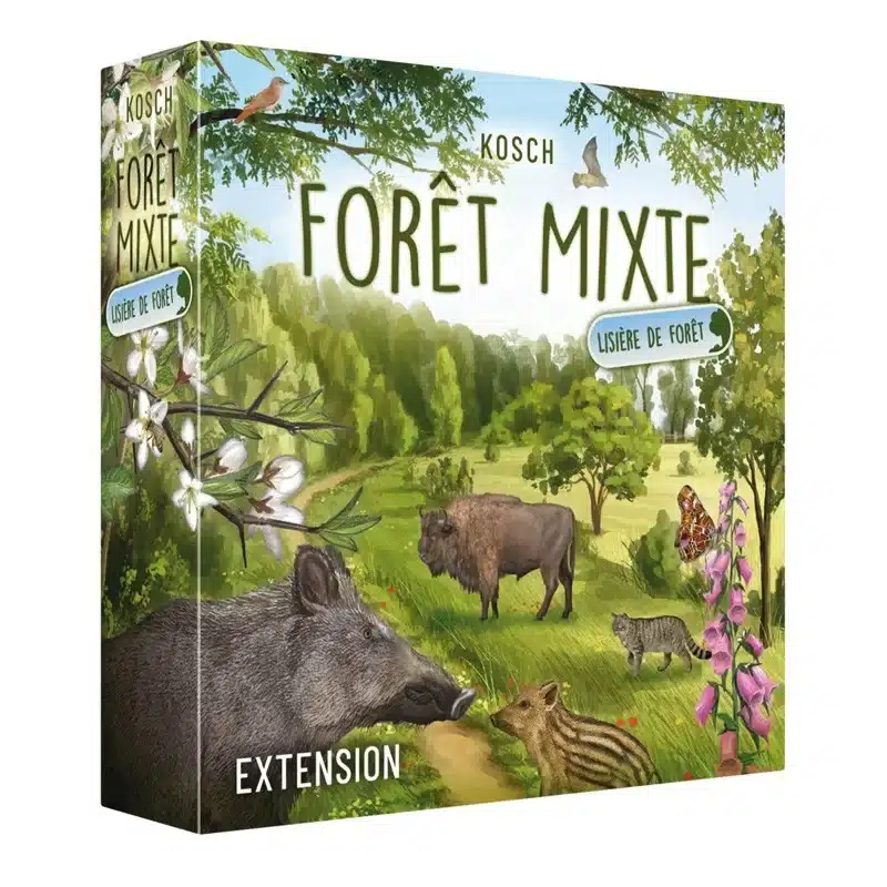 Forêt Mixte - Lisière de forêt